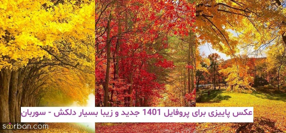 عکس پاییزی برای پروفایل 1401 جدید و زیبا بسیار دلکش