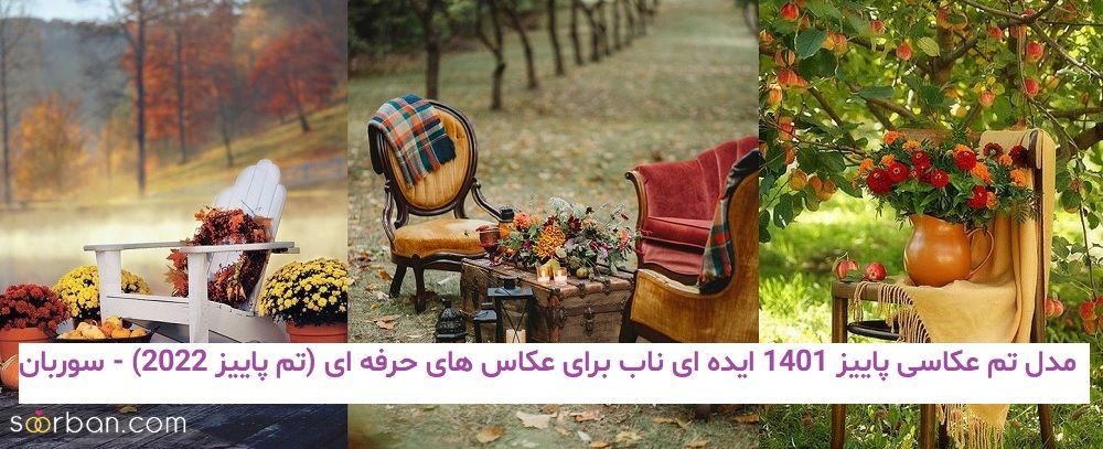 مدل تم عکاسی پاییز 1401 ایده ای ناب برای عکاس های حرفه ای (تم پاییز 2022)