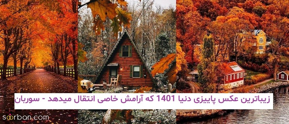 زیباترین عکس پاییزی دنیا 1401 که آرامش خاصی انتقال میدهد!