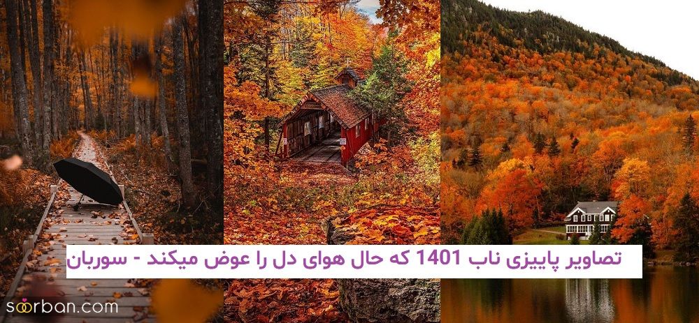 تصاویر پاییزی ناب 1401 که حال هوای دل را عوض میکند!