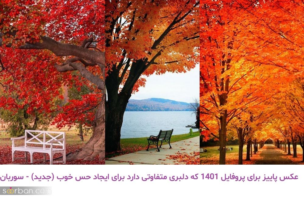 عکس پاییز برای پروفایل 1401 که دلبری متفاوتی دارد برای ایجاد حس خوب (جدید)