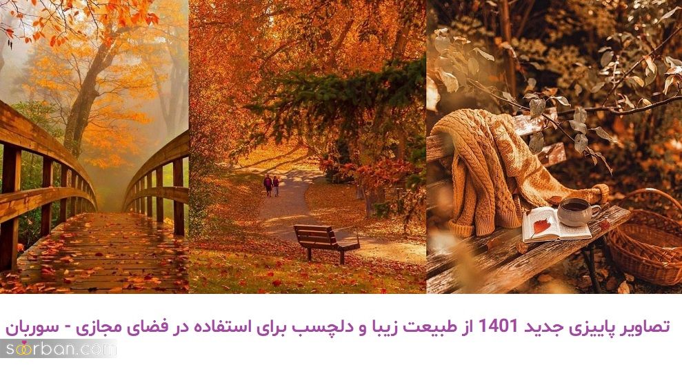 تصاویر پاییزی جدید 1401 از طبیعت زیبا و دلچسب برای استفاده در فضای مجازی