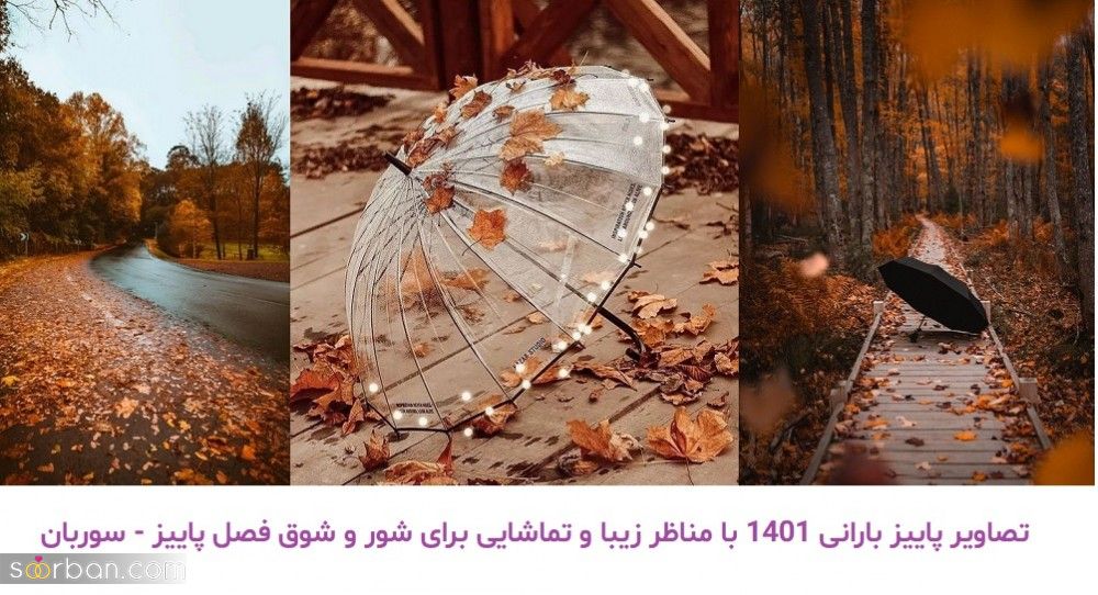 تصاویر پاییز بارانی 1401 با مناظر زیبا و تماشایی برای شور و شوق فصل پاییز