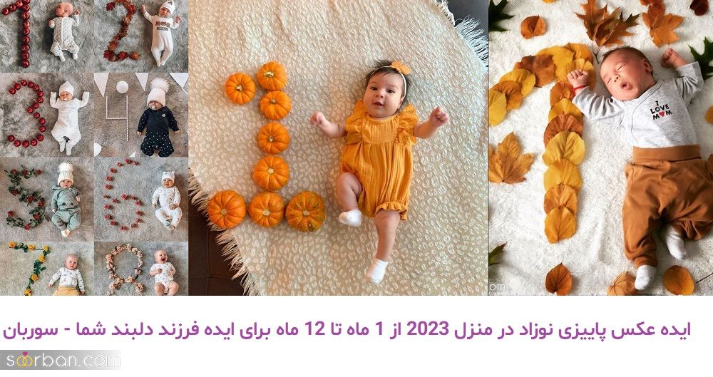 ایده عکس پاییزی نوزاد در منزل 2023 از 1 ماه تا 12 ماه برای ایده فرزند دلبند شما