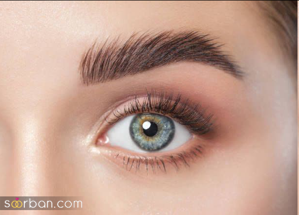 با این راهکارهای ساده و خانگی مژه هایتان را 2 هفته ای پرپشت کنید