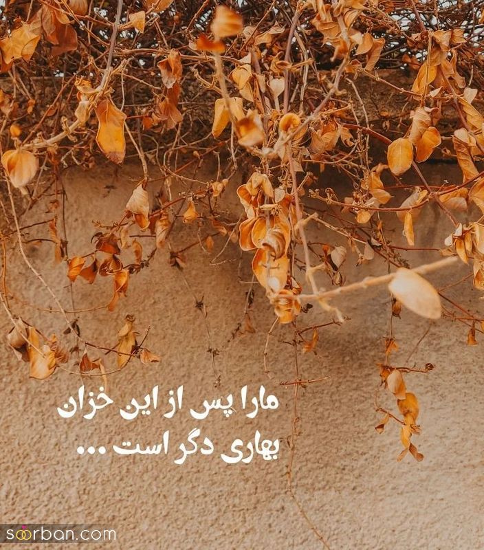 زیباترین تکست کوتاه 1402 بسیار دلنشین (جدید)