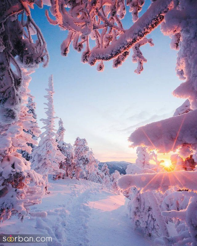عکس زمستانی 1402 بسیار زیبا و دلنشین برای فضای مجازی