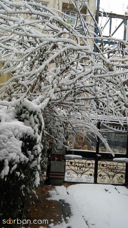 عکس روز برفی 1402 برای پروفایل و صفحه مجازی (بدون متن)