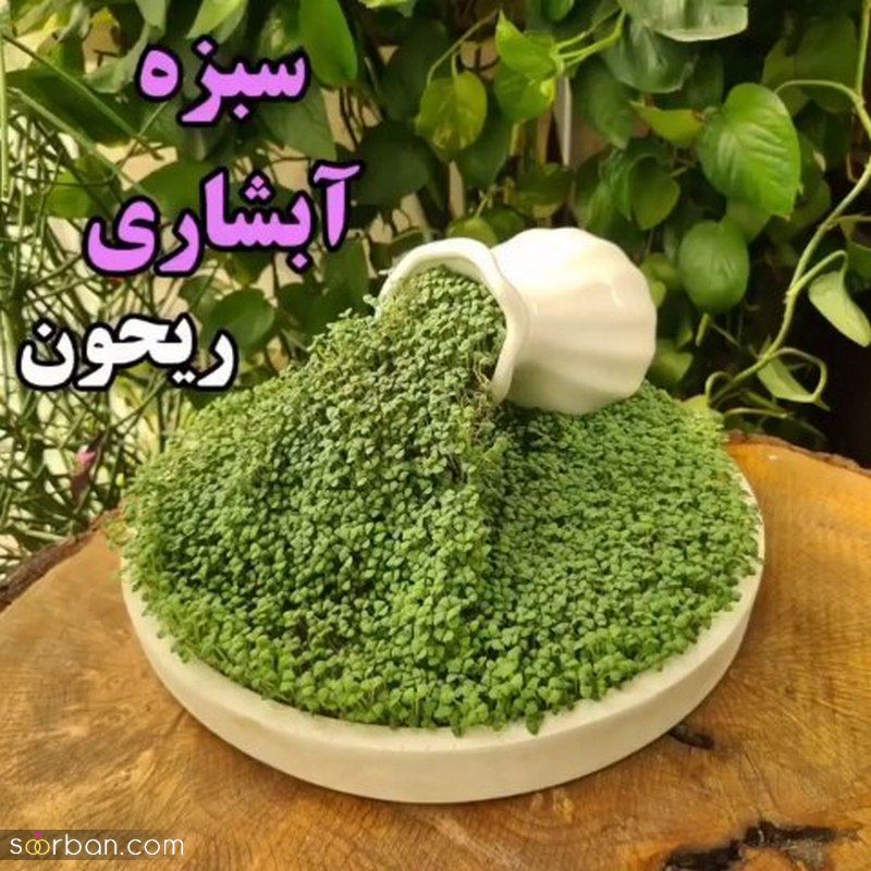 اگر به دنبال مدلهای جدید تزیین سبزه برای نوروز سال 1402