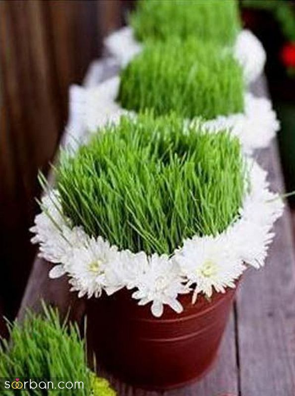 تصاویری برای تزیین سبزه عید 1402 با اشکال مختلف و حیوان سال 