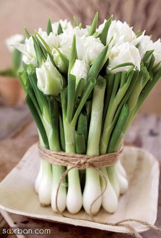 تصاویری برای تزیین سبزه عید 1402 با اشکال مختلف و حیوان سال 