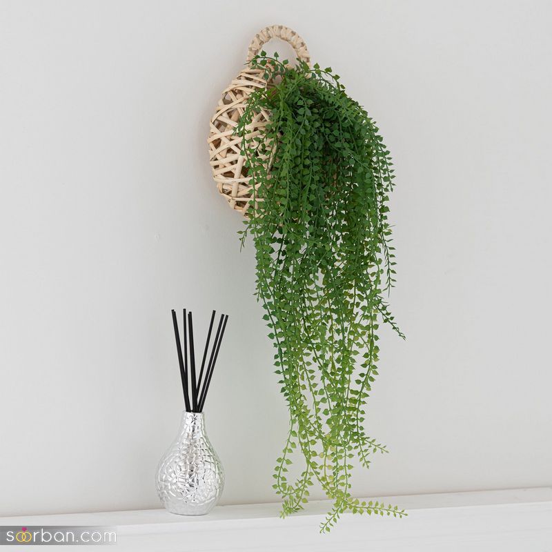 تصاویری برای تزیین سبزه عید 1402 با اشکال مختلف و حیوان سال 