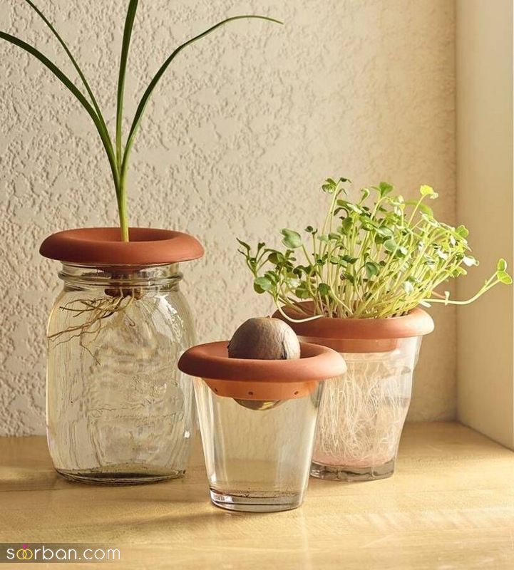 تصاویری برای تزیین سبزه عید 1402 با اشکال مختلف و حیوان سال 