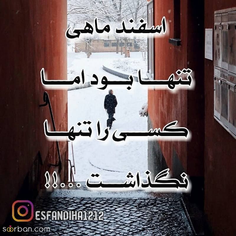 عکس پروفایل اسفند ماهی جدید 1402 با متنهای احساسی