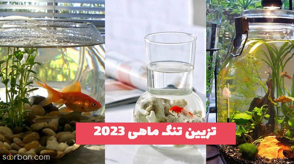 تزیین تنگ ماهی 1402  با اشکال مختلف همراه ایده های جدید و کم هزینه