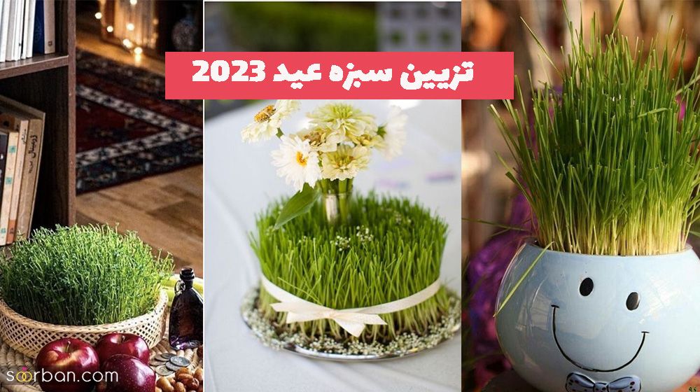 تصاویری برای تزیین سبزه عید 1402 با اشکال مختلف و حیوان سال 