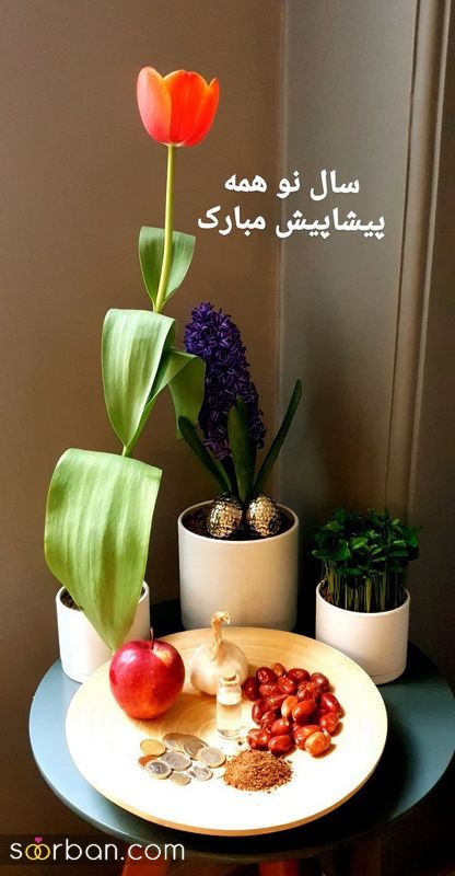 قطعا این هفت سین ۱۴۰۲ گزینه های ساده و زیباست برای شما