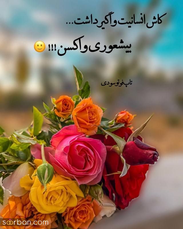 استوری عکس نوشته خاص 1402 جهت ایده برای بلاگر های فضای مجازی