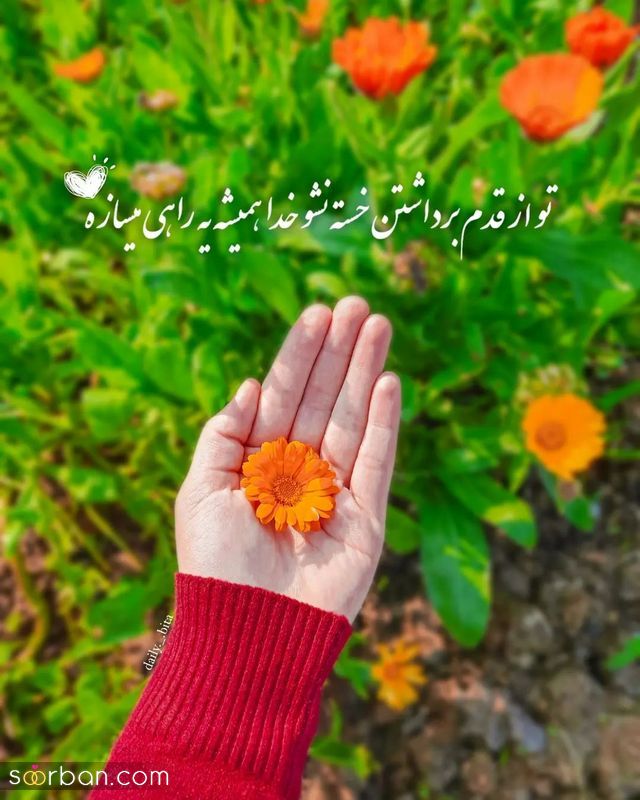 عکس نوشته زیبا مفهومی 2023 برای استوری زدن