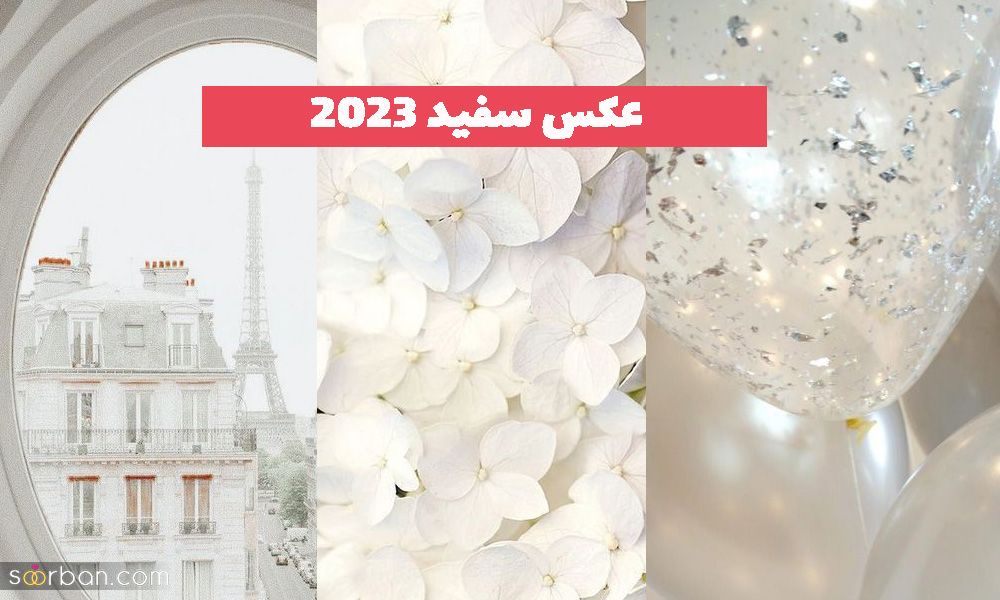 عکس سفید 1402 با مضمون ها متنوع برفی/ طرح دار/ پروفایل...
