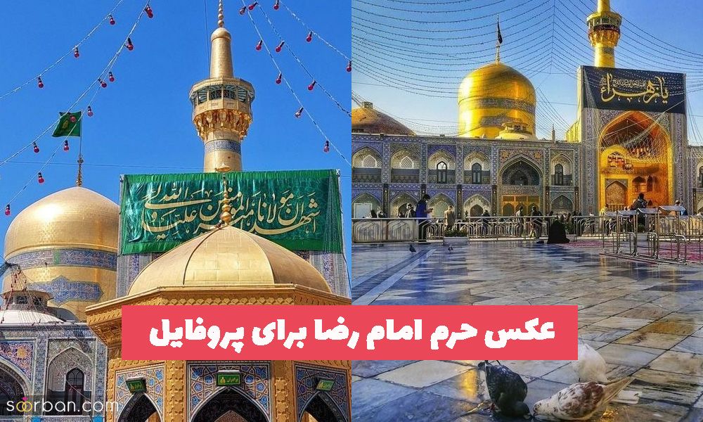 50 عکس حرم امام رضا برای پروفایل واتساپ بسیار زیبا و دلنشین (جدید)