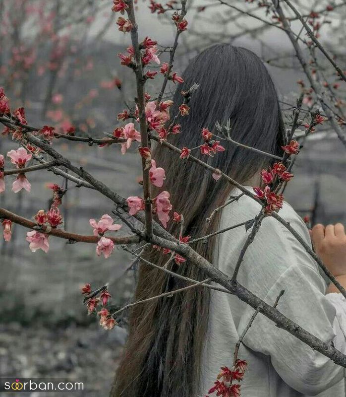 عکس پروفایل دخترونه طبیعی بدون چهره 2025 در حالتهای مختلف (عکاسی فضای باز و بسته)
