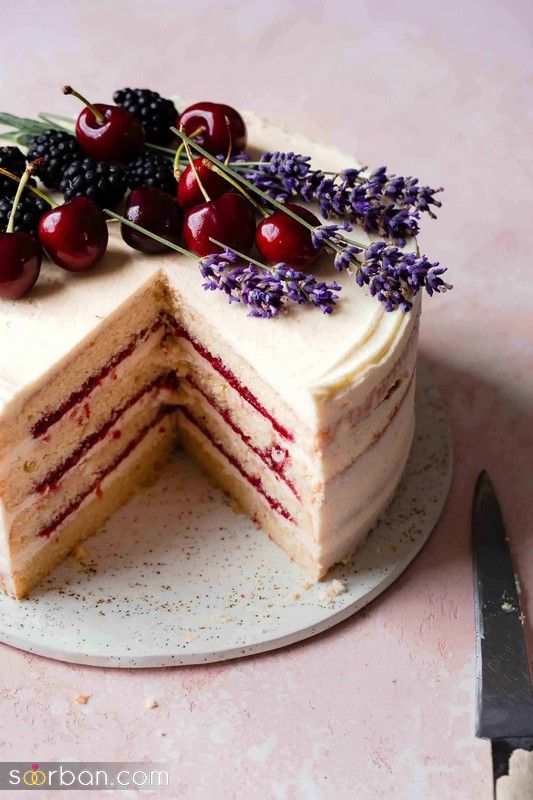 31 تزیین کیک با گیلاس و سایر میوه های فصل؛ ویژه کیک خانگی و بازار [کاپ کیک] 