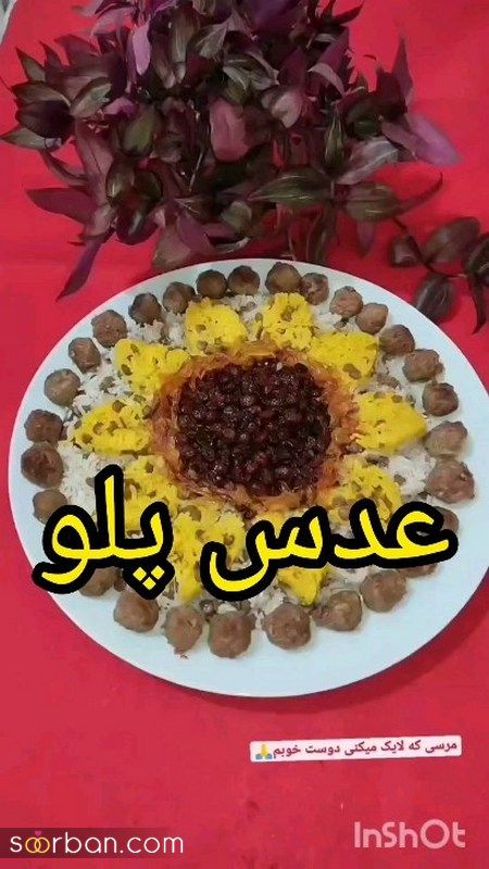 تزیین عدس پلو جدید؛ همراه با گوشت چرخ شده و زرشک و زعفران [مجلسی] 