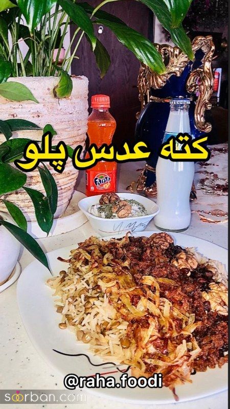 تزیین عدس پلو جدید؛ همراه با گوشت چرخ شده و زرشک و زعفران [مجلسی] 