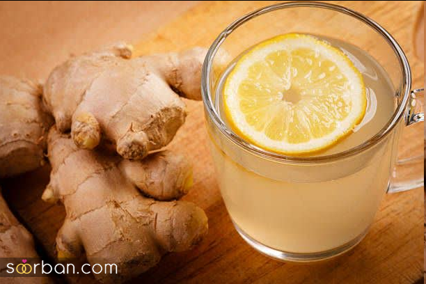 بررسی 10 نوع برتر چای و آشنایی با خواص بی‌نظیر آنها!