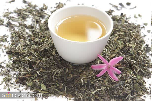 بررسی 10 نوع برتر چای و آشنایی با خواص بی‌نظیر آنها!