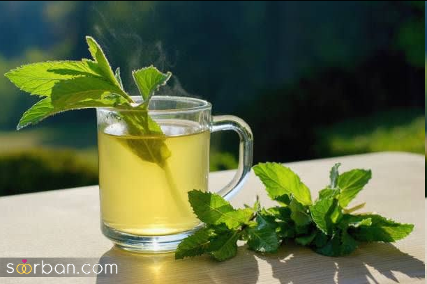 بررسی 10 نوع برتر چای و آشنایی با خواص بی‌نظیر آنها!