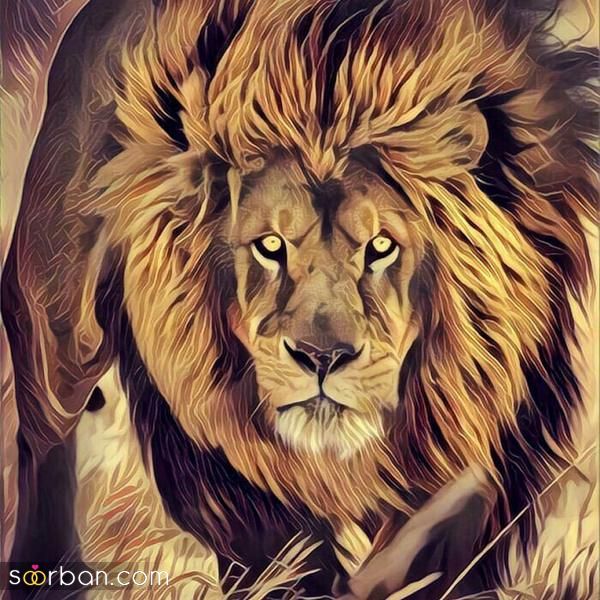 عکس شیر واقعی وحشی جنگل برایپروفایل زیبا و متفاوت