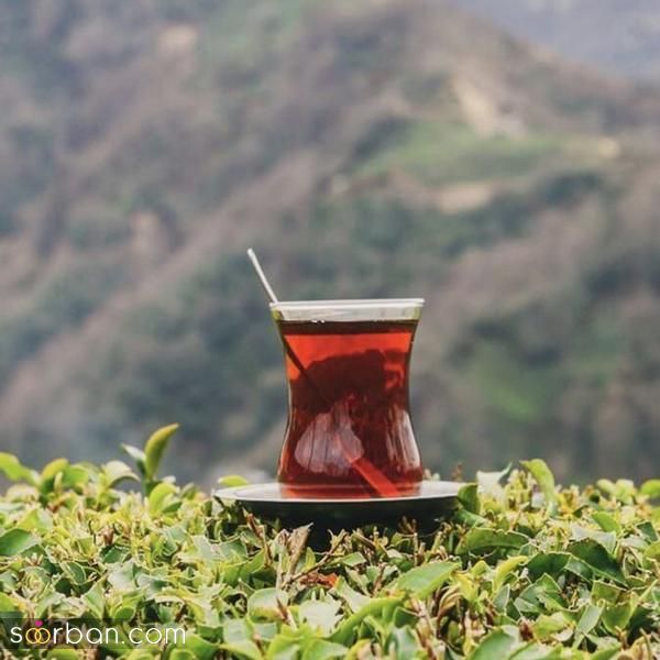 عکس صبح برای استوری و متن های انگیزشی جالب در فضای مجازی