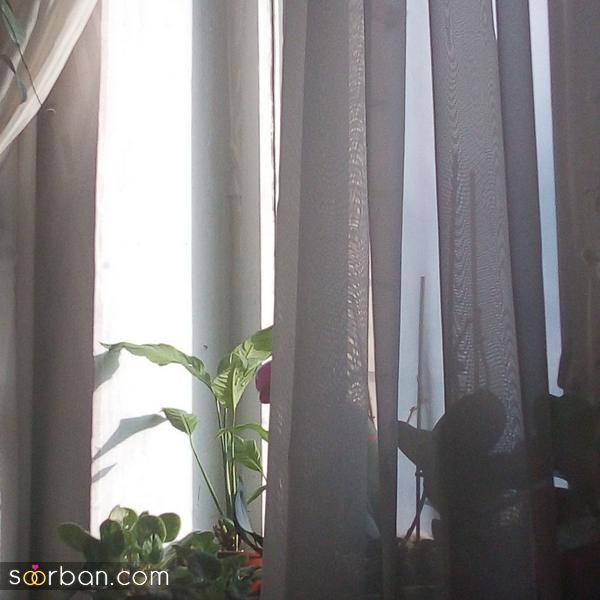 عکس صبح برای استوری و متن های انگیزشی جالب در فضای مجازی