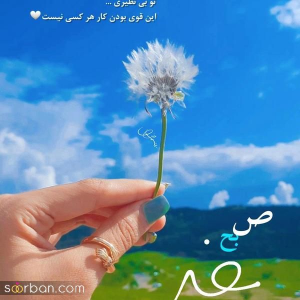 با این عکس صبح بخیر دوستم جدید 2025 فضای پیج شخصی و مجازی خود را دلچسبتر کنید!