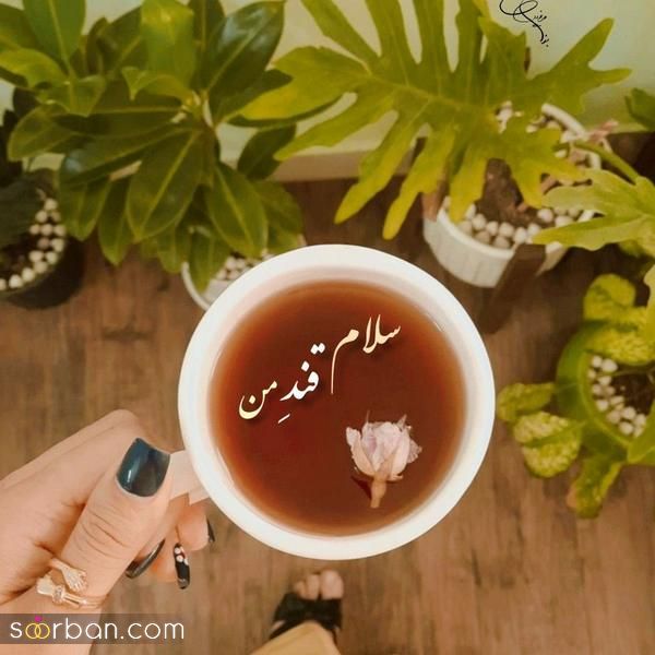 با این عکس صبح بخیر دوستم جدید 2025 فضای پیج شخصی و مجازی خود را دلچسبتر کنید!