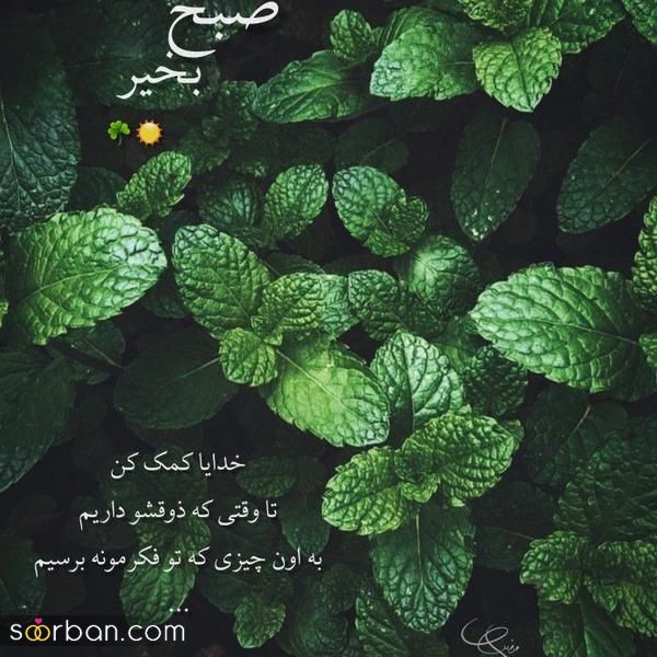 با این عکس صبح بخیر دوستم جدید 2025 فضای پیج شخصی و مجازی خود را دلچسبتر کنید!