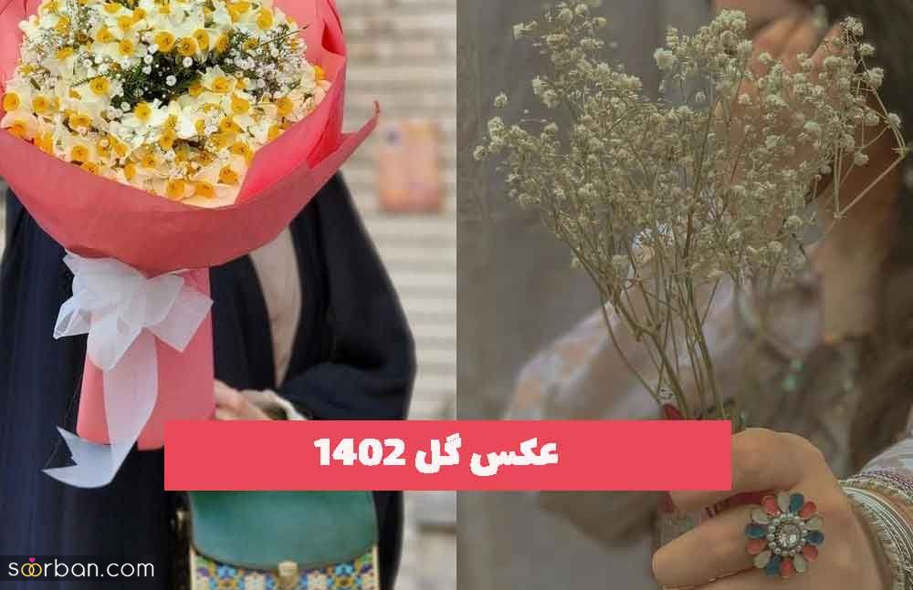 عکس گل 2023 جدید؛ در مدلهای متنوع و ترند شده خوشگل [برای پروفایل]