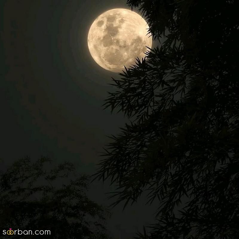 عکس شب 2023 جدید برای استوری با یک ویو زیبا همراه با ماه[30 عکس]