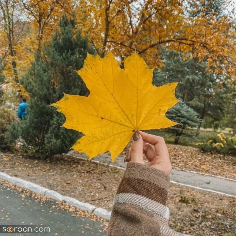 از ژست عکس پاییزه 2023 ایده بگیرید و عکاسی حرفه ای داشته باشید!