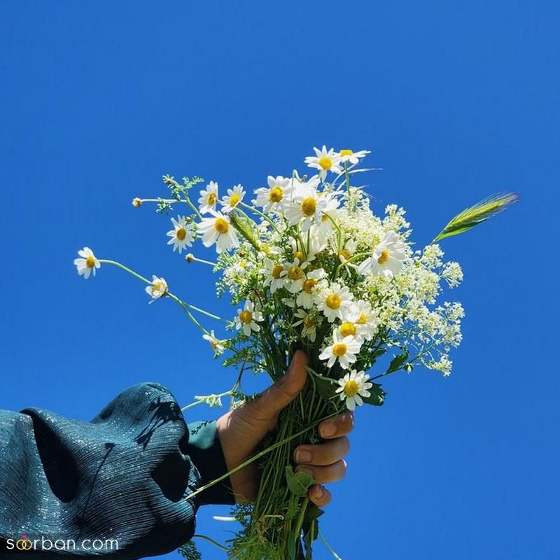 عکس زیبا برای پروفایل که مطمئنا بسیار پر مخاطب و خوشگل است (مضمون متنوع)