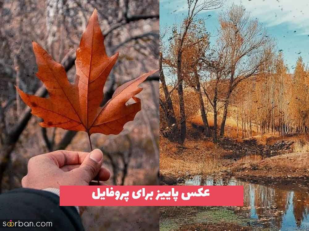 عکس پاییز برای پروفایل ویژه سال 2023 جدید و خفن برای شما عزیزان