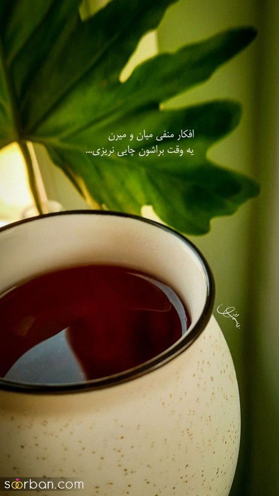 جدیدترین ترند هایی از عکس نوشته 2023; با مضمون های متنوع ویژه استوری