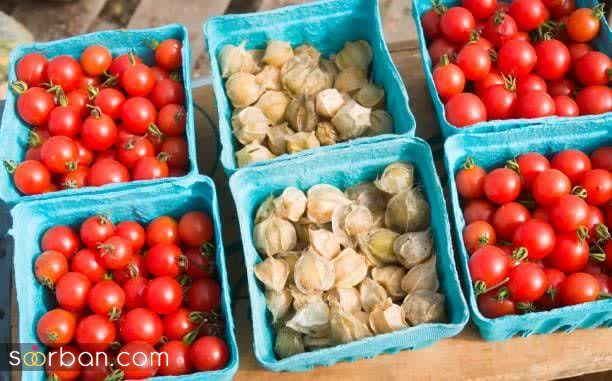 هشدار ؛ این 10 خوراکی رو هرگز با شکم خالی نخور چون خیلی خطرناکه! (تصاویر)