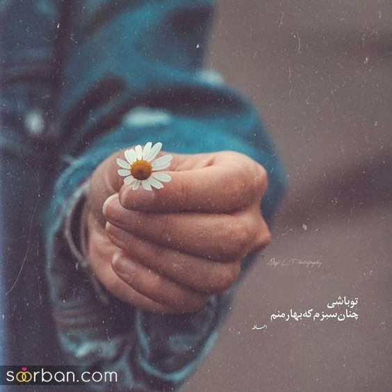 جدیدترین عکس پروفایل عاشقانه 1402 | عکس نوشته های عاشقانه و زیبا - عکس عاشقانه خاص