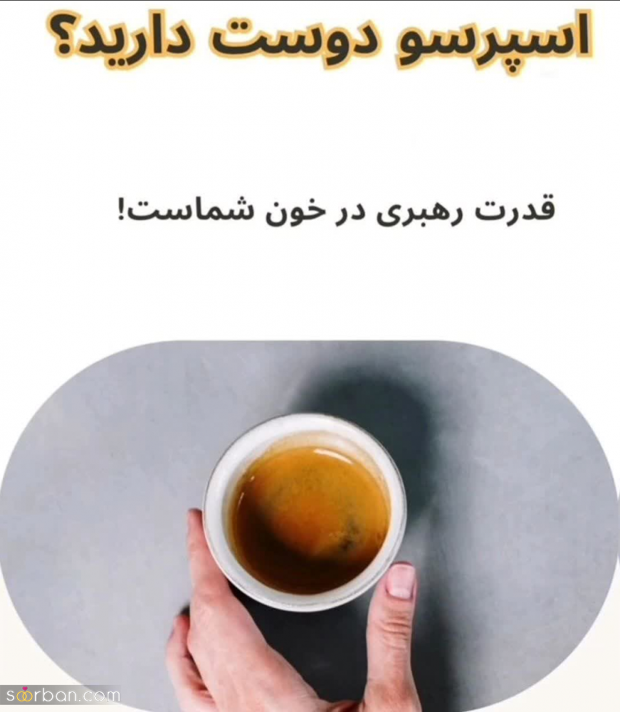 بگو چه قهوه‌ای دوست داری تا بهت بگم چه شخصیتی داری! / شخصیت شناسی از روی قهوه مورد علاقه‌تان!