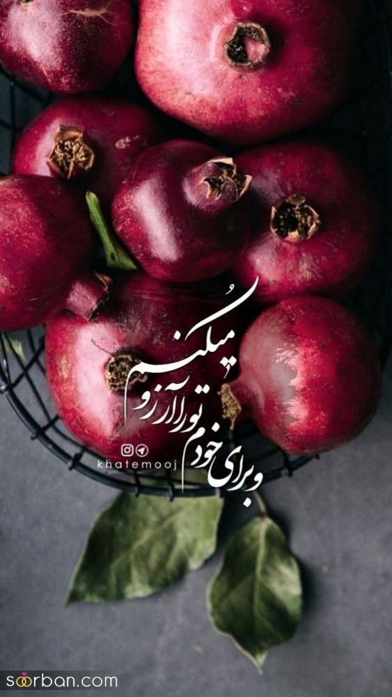 استوری یلدا مبارک - استوری برای شب یلدا 1403 | استوری تبریک شب یلدا - تبریک شب یلدا برای استوری اینستاگرام