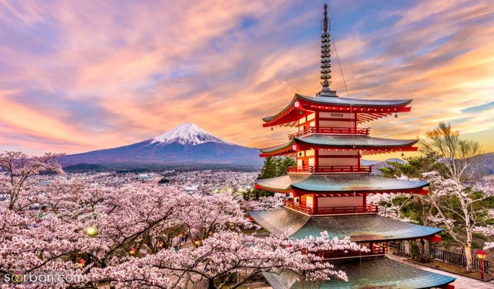 چرا باید برای یک بار هم که شده به ژاپن سفر کنیم؟