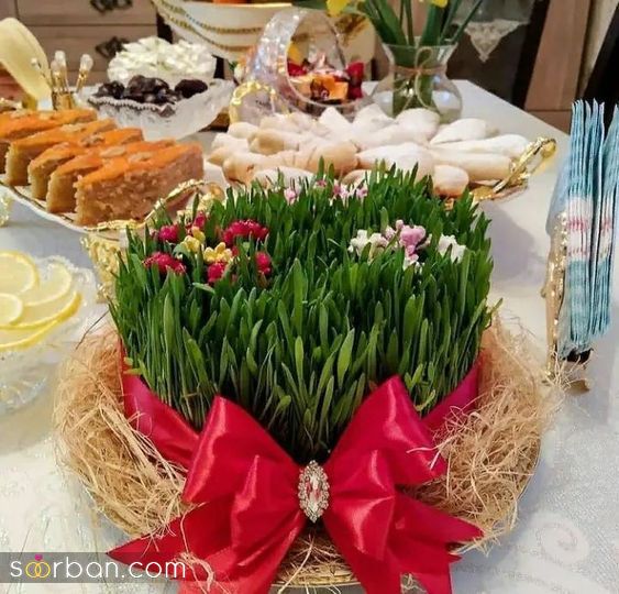 ‌‌مدل سبزه عید 1403 | مدل سبزه عید ساده اما لاکچری - تزیین سبزه عید برای عروس